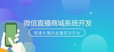 微信直播商城系统开发 实现流量变现